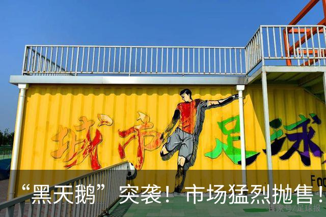 “黑天鹅”突袭！市场猛烈抛售！韩国，发生了什么？