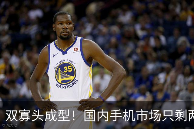 双寡头成型！国内手机市场只剩两大玩家博弈