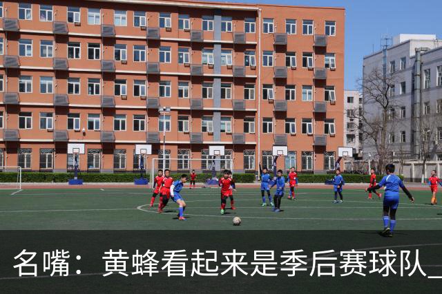 名嘴：黄蜂看起来是季后赛球队 米勒有望达到皮尔斯&双探花的级别