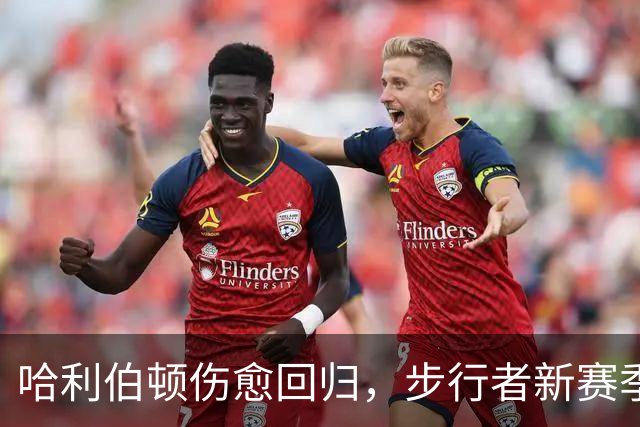 哈利伯顿伤愈回归，步行者新赛季观赛指南来了