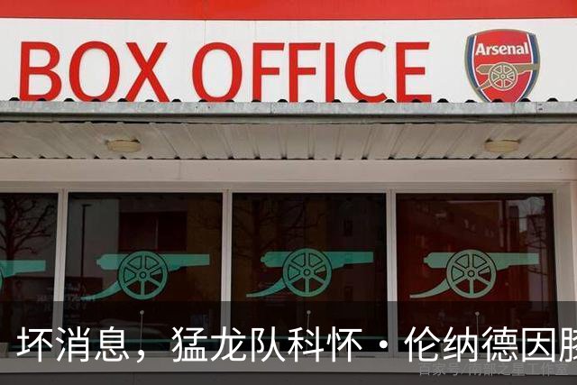 坏消息，猛龙队科怀·伦纳德因膝盖肿胀缺席对阵森林狼的比赛