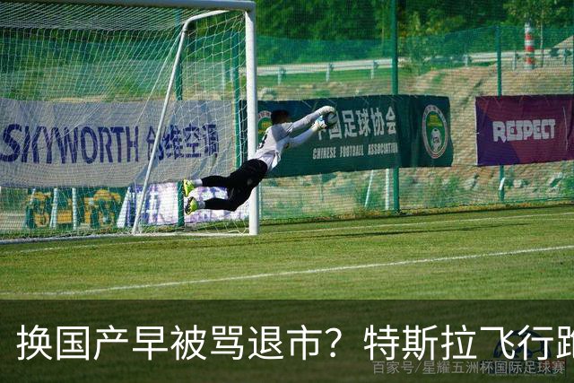 换国产早被骂退市？特斯拉飞行跑车吵翻全网