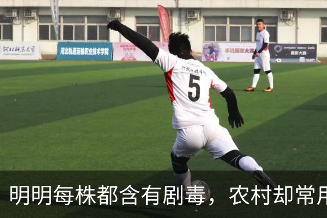 明明每株都含有剧毒，农村却常用来做腌菜，如今为何消失不见？