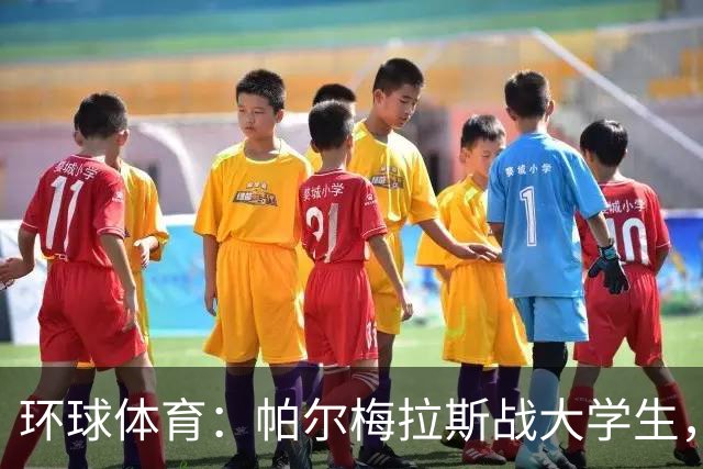 环球体育：帕尔梅拉斯战大学生，解放者杯决赛用球公布