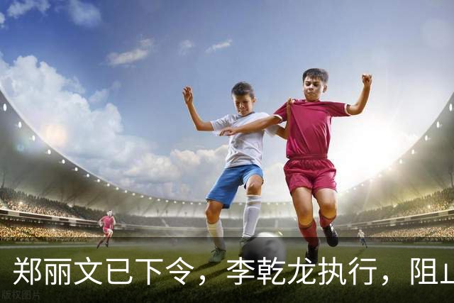 郑丽文已下令，李乾龙执行，阻止连署开除赵少康，蓝营避免大内斗