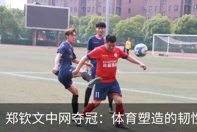 郑钦文中网夺冠：体育塑造的韧性，比分数更持久
